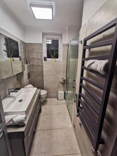 a bathroom with a sink and a toilet and a shower at Apartament W SERCU USTRONIA in Ustroń