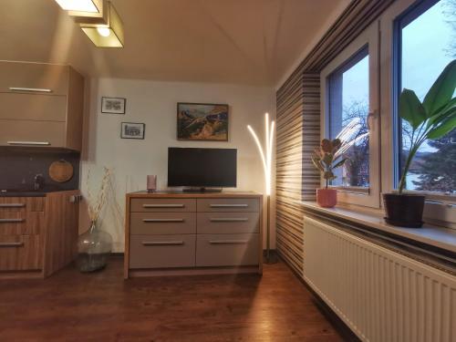 Televízia a/alebo spoločenská miestnosť v ubytovaní Apartament W SERCU USTRONIA