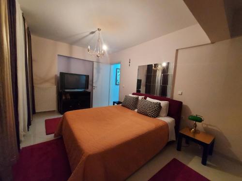 One bedroom apartment new with large living room