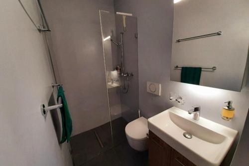 W łazience znajduje się umywalka, prysznic i toaleta. w obiekcie Haus Alvier - CharmingStay w mieście Flumserberg