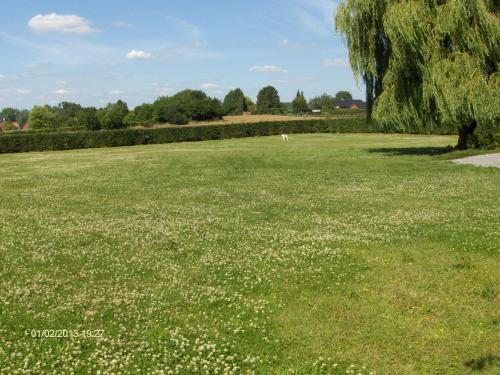 a field of green grass with white flowers at Wenceslas Cobergher II Appartementen 2 of 4 in Boutersem