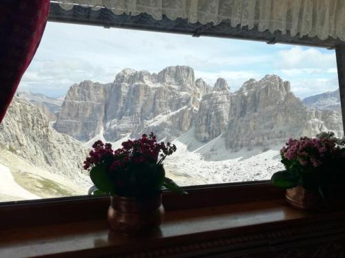 Gallery image of La Casa dei T - The House of T - CIR IP0250430022 in Comune Rivamonte Agordino
