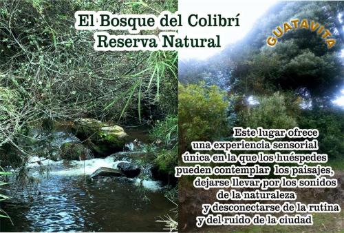a collage of two pictures of a river at Reserva Natural Bosque del Colibri in Guatavita