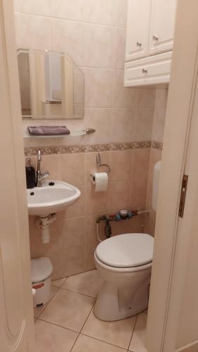 a small bathroom with a toilet and a sink at Peró Apartman in Debrecen