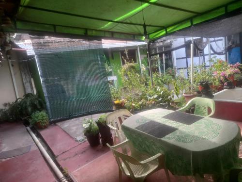 萊蒂西亞的住宿－Don Ramirez，种有植物的庭院里的桌椅