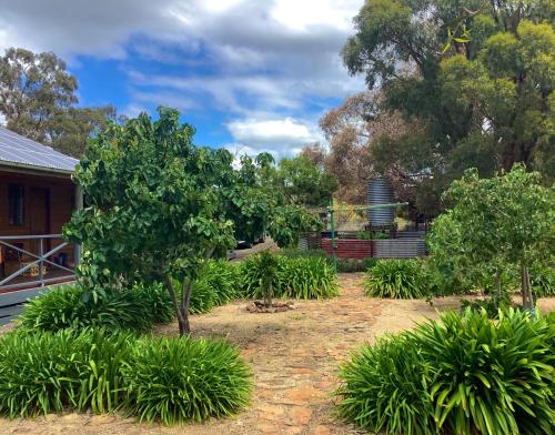 a garden with trees and bushes in front of a building at Gilgraves Vineyard Farmstay in Axedale