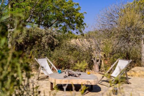 a table and two chairs in a field with trees at Auberge de la Table in Toliara