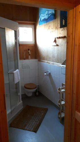 a bathroom with a toilet and a shower and a sink at Zirbenhütte in Hohentauern