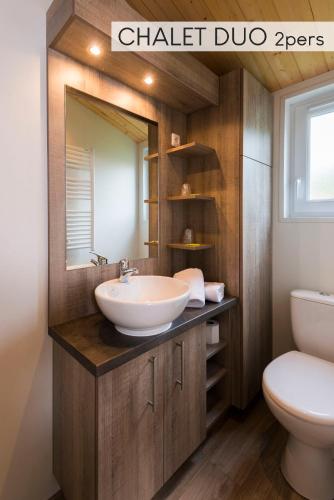 a bathroom with a sink and a toilet at Chateau De La Plinguetiere in Saint-Aignan-Grand-Lieu