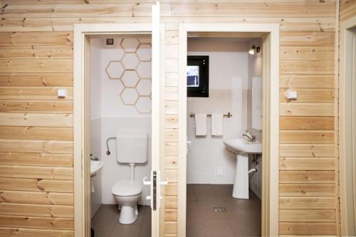 a bathroom with a toilet and a sink at Tusnad Camping in Băile Tuşnad