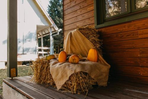 a bunch of pumpkins sitting on top of hay at Tusnad Camping in Băile Tuşnad
