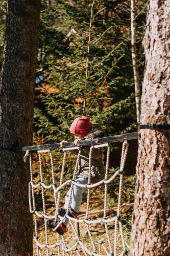 a person sitting on a swing in a tree at Tusnad Camping in Băile Tuşnad