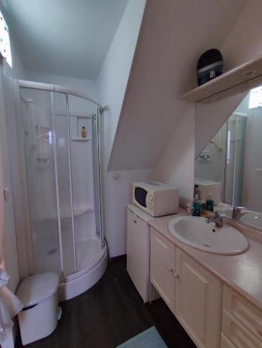 a bathroom with a sink and a shower and a toilet at chambre d'hôtes in Verdun-sur-Garonne