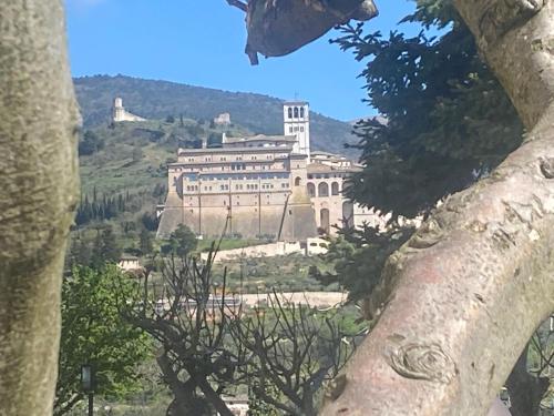 a large building on top of a hill at Agriturismo Il Girasole Assisi in Assisi
