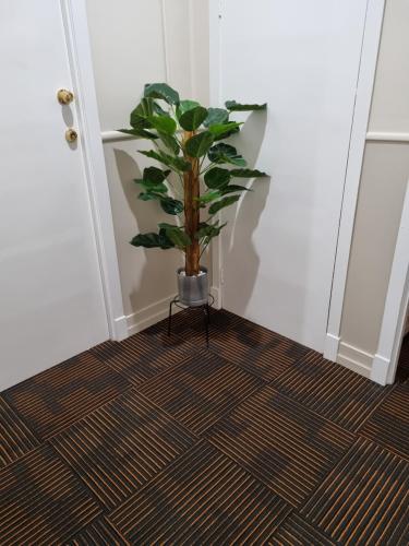a plant in a vase sitting on a floor at Peddlars Rest in Toogoolawah