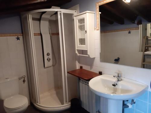 a bathroom with a sink and a shower and a toilet at Casas Recuero in Chinchón