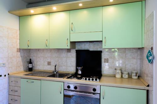 a kitchen with green cabinets and a sink at Casa Maso Clamer in Andalo