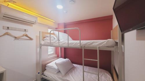 首爾的住宿－Olive Hostel Dongdaemun，双层床间 - 带两张双层床