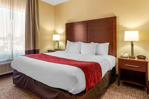 um quarto de hotel com uma cama grande e uma janela em Comfort Suites Montgomery East Monticello Dr em Montgomery