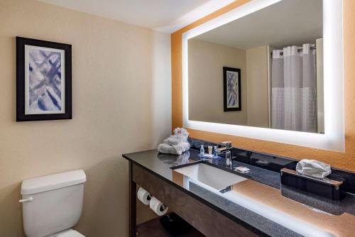 a bathroom with a sink and a mirror at Comfort Suites Alpharetta-Roswell - Atlanta Area in Alpharetta