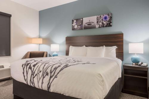 a hotel room with a bed and a tv at Sleep Inn & Suites Webb City in Webb City