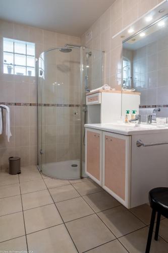 une salle de bain avec douche et lavabo dans l'établissement Le gîte des 3 Arches, à Genay
