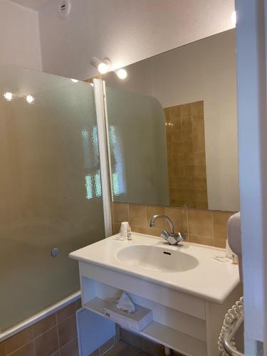 a bathroom with a sink and a large mirror at Golf Hotel de la Carte in Chouzy-sur-Cisse