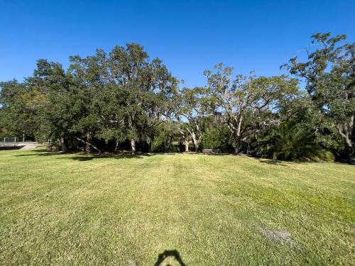 a shadow of a person in a field with trees at Mar Bay Exclusive Suites in Safety Harbor
