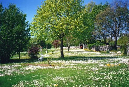 ValeillesにあるGîte l'Odonataの木の花畑