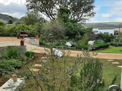 a garden with flowers and a bench in the background at Over Karoo Inn in Barrydale