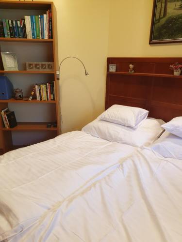 a bedroom with two beds and a book shelf at Beach Club Apartman in Mosonmagyaróvár