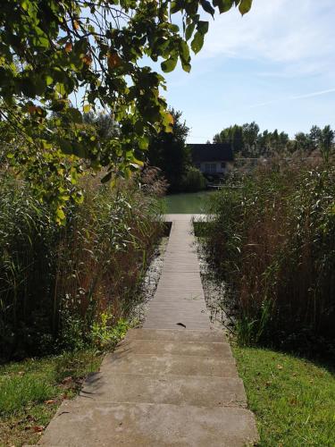 a path through a field with a body of water at Beach Club Apartman in Mosonmagyaróvár