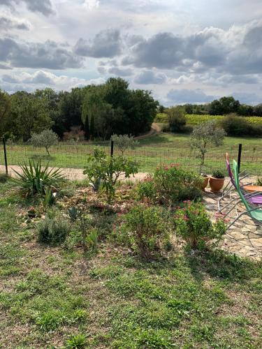 Gambar di galeri bagi L'Oléastre en Luberon di Grambois