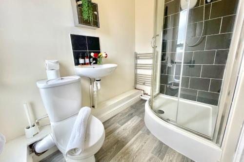 een badkamer met een toilet, een wastafel en een douche bij Twin Bed Studio Near Train Station, Netflix, WiFi in Coventry