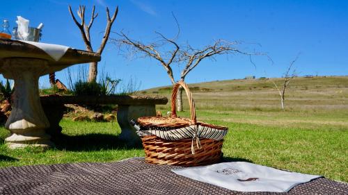 a basket sitting on a blanket next to a table at Kwetu Guest Farm in Swellendam
