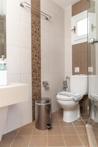 a bathroom with a toilet and a sink at Villa Harmony in Agia Anna Naxos