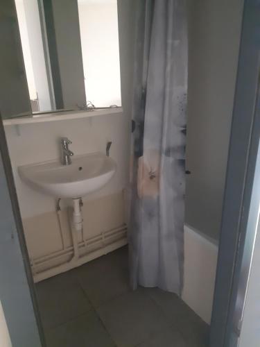 ein Bad mit einem Waschbecken und einer Dusche mit einem Fenster in der Unterkunft Gîte de Bénédicte Fribourg in Colmar
