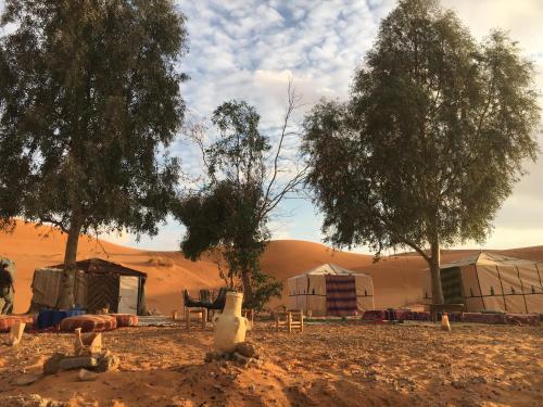 a group of tents and trees in the desert at Nomad Desert House in Merzouga