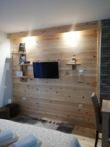 a room with a wooden wall with a flat screen tv at Apartmani Sredojevic in Kaludjerske Bare