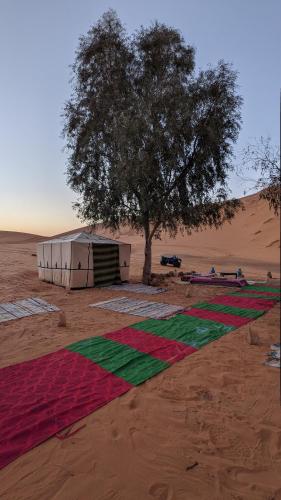 a tent and a tree in the desert at Nomad Desert House in Merzouga