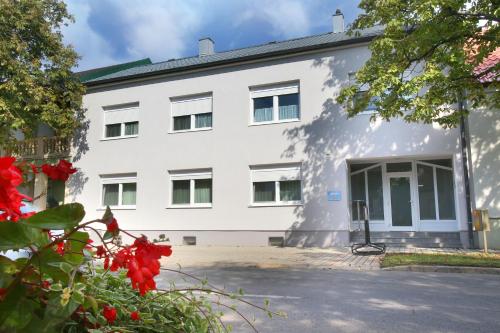 Zahrada ubytování Apartment-76