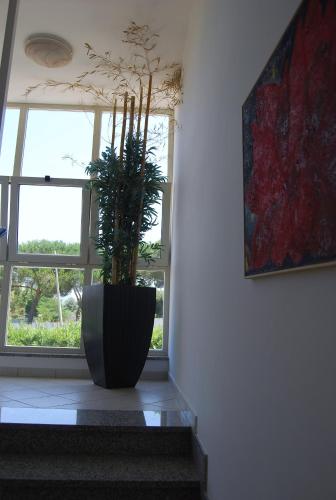 Photo de la galerie de l'établissement Telma Hotel, à Terracine