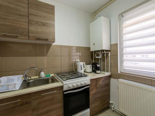 Kuchyň nebo kuchyňský kout v ubytování Ionita apartament