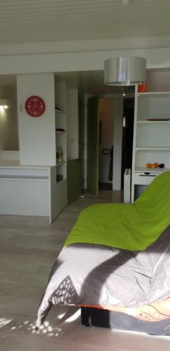 Ένα ή περισσότερα κρεβάτια σε δωμάτιο στο DUPLEX 4 pers super murat 1200 m alt prox mont dore bourboule sancy