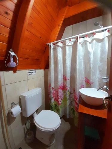 a bathroom with a toilet and a sink at Cabañas Namuncura in Colón