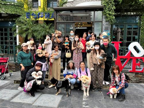 Gallery image of Blue Owl-Hualien No 2396-2397-2398-2399 in Hualien City