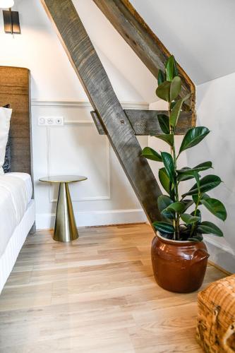 a living room with a couch and a potted plant at La Maison de Reina in Troyes