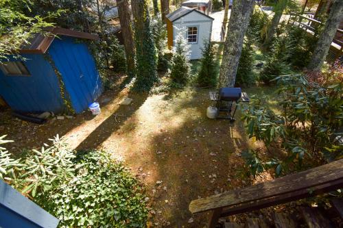 Black Pine Perch – Photos 3