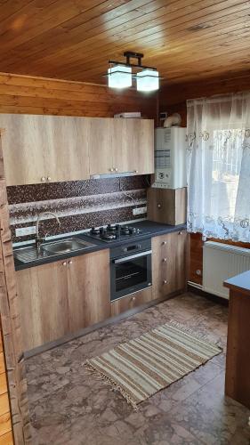a kitchen with a stove and a sink at Cabana Deliuta in Cavnic