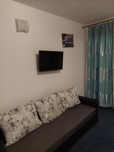 a living room with a couch and a flat screen tv at Casa Azugeana in Azuga